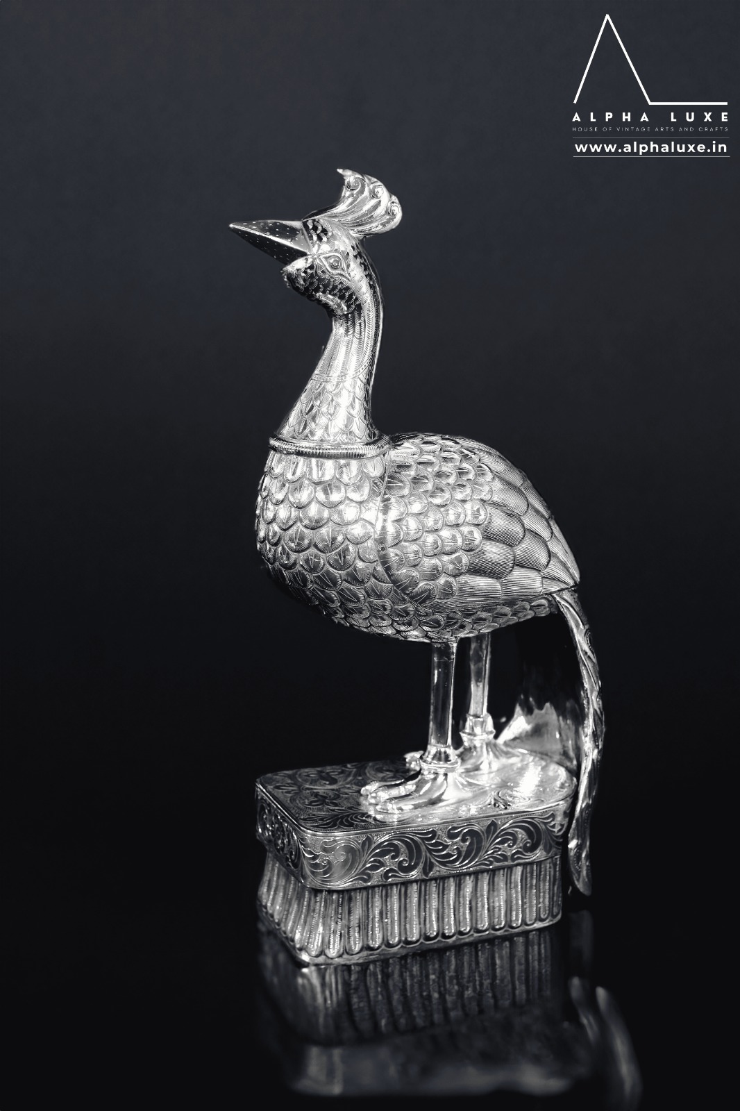 WhatsApp Image 2023-10-21 at 11.50.00 AM (2).jpeg